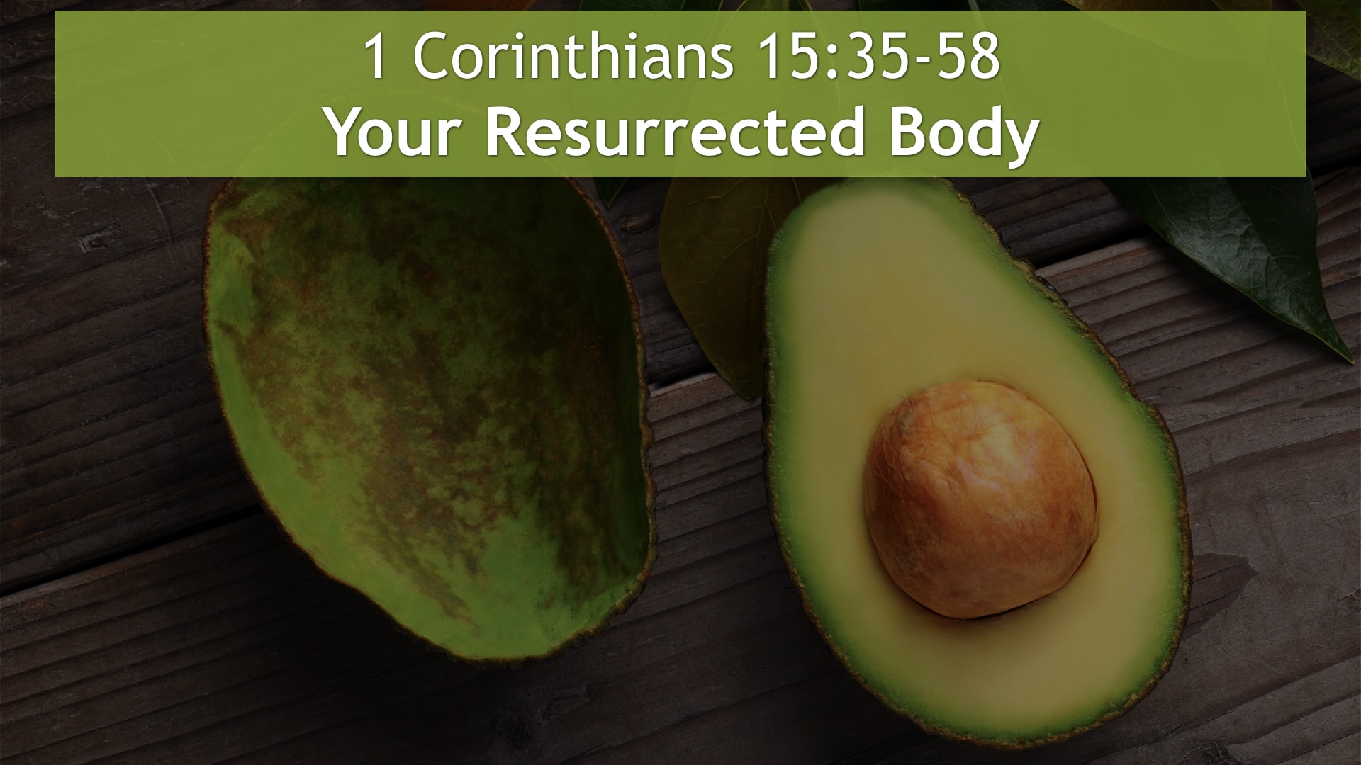 1 cor 15 36