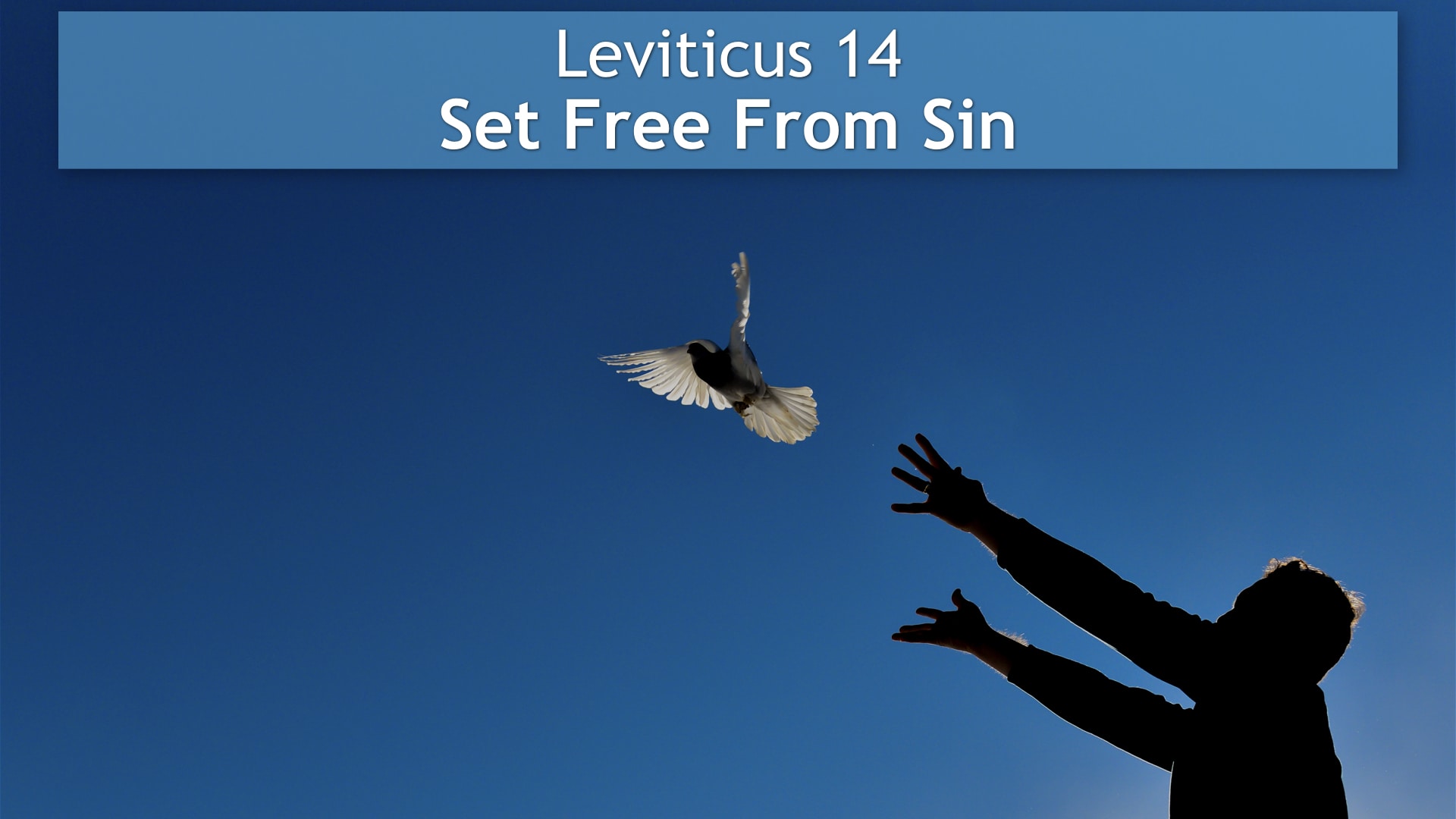Jerry Simmons teaching Leviticus 14, Set Free From Sin