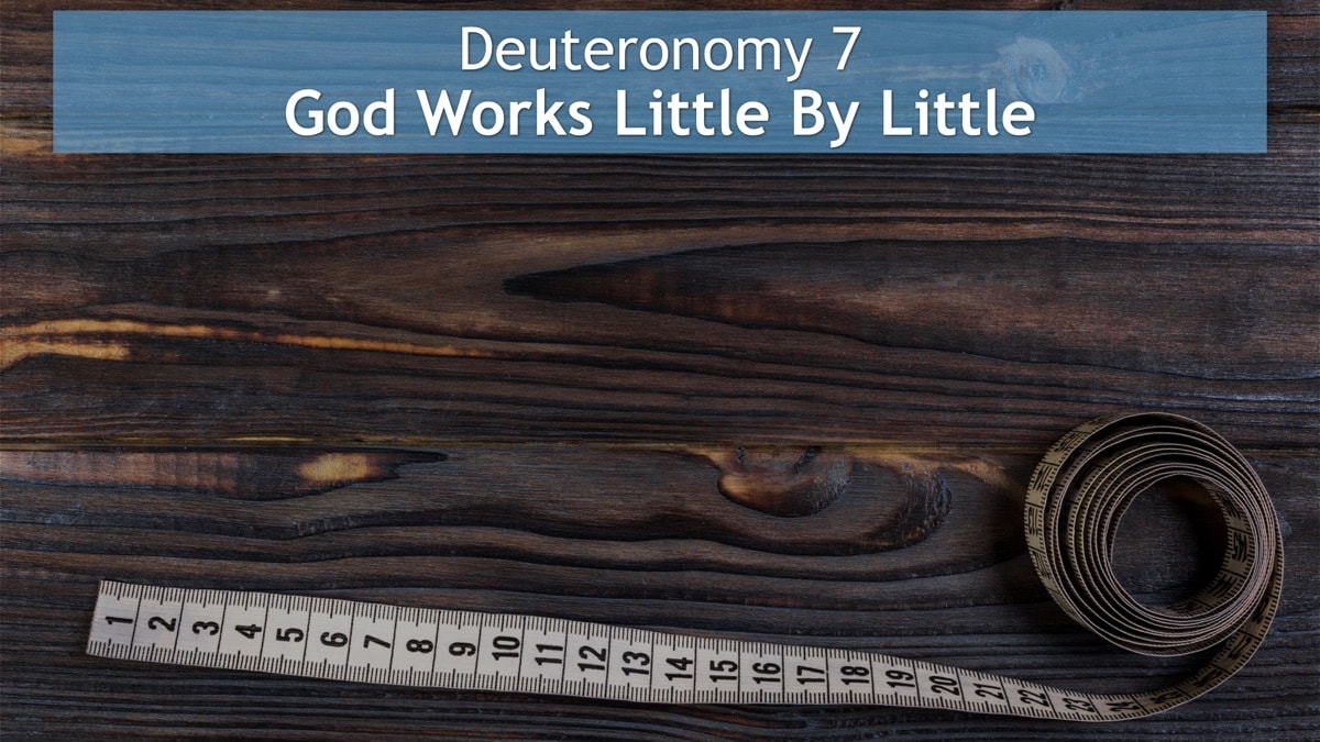 Jerry Simmons teaching Deuteronomy 7, God Works Little By Little