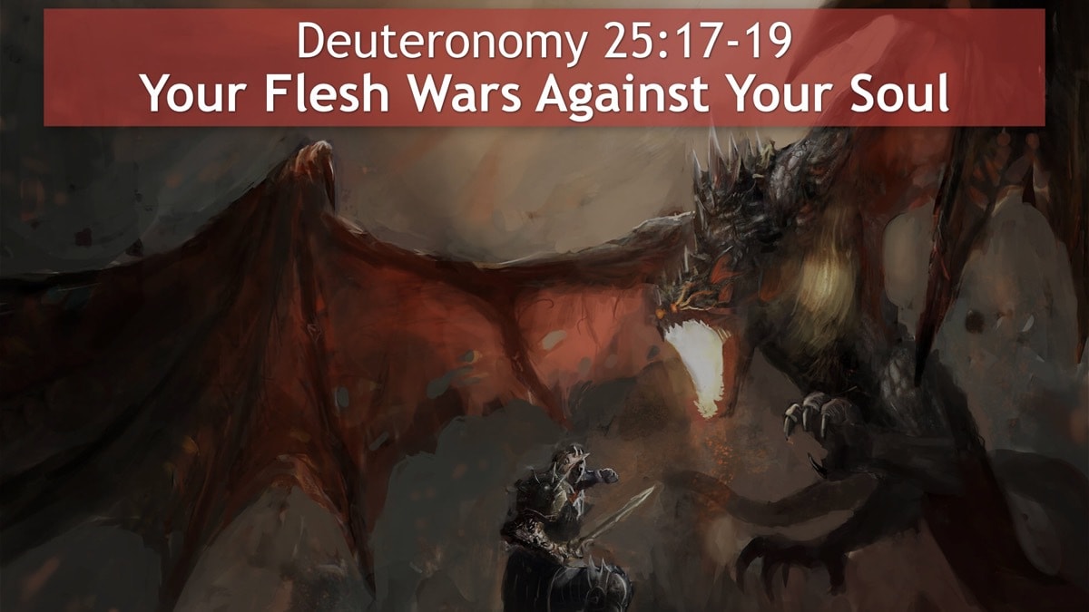 Jerry Simmons teaching Deuteronomy 25, Your Flesh Wars Against Your Soul